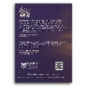 Kota Yang Menetes Ke Dalam Masa Lalu